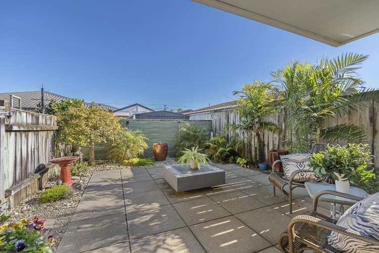 153A Carrington Street Vogeltown_8