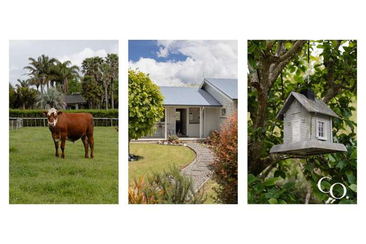 14A Sagewood Road Whakamarama_30