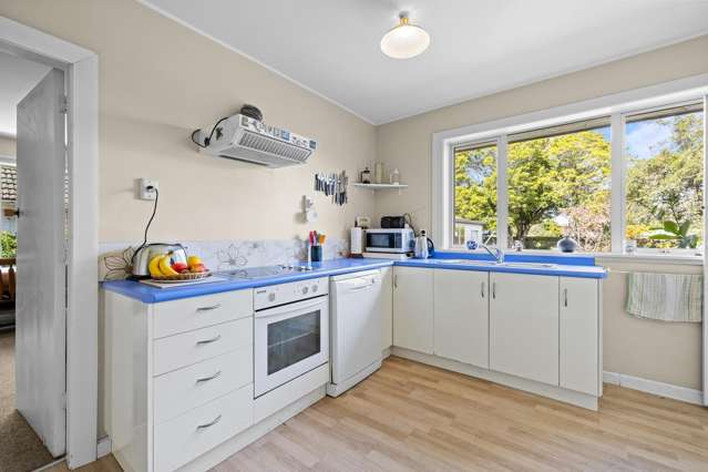 87 Aorangi Road Bryndwr_2