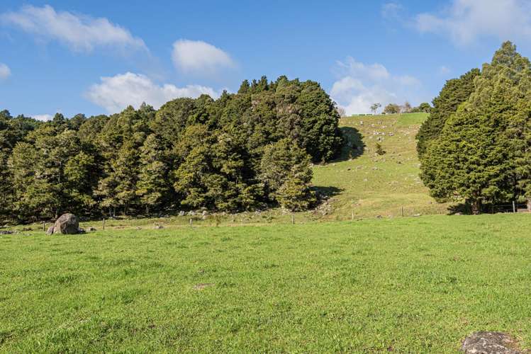 43 Waiariki Road Whakapara_15