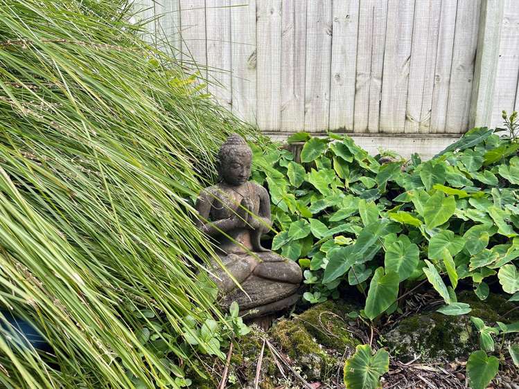 5c Te Mai Road Woodhill_12