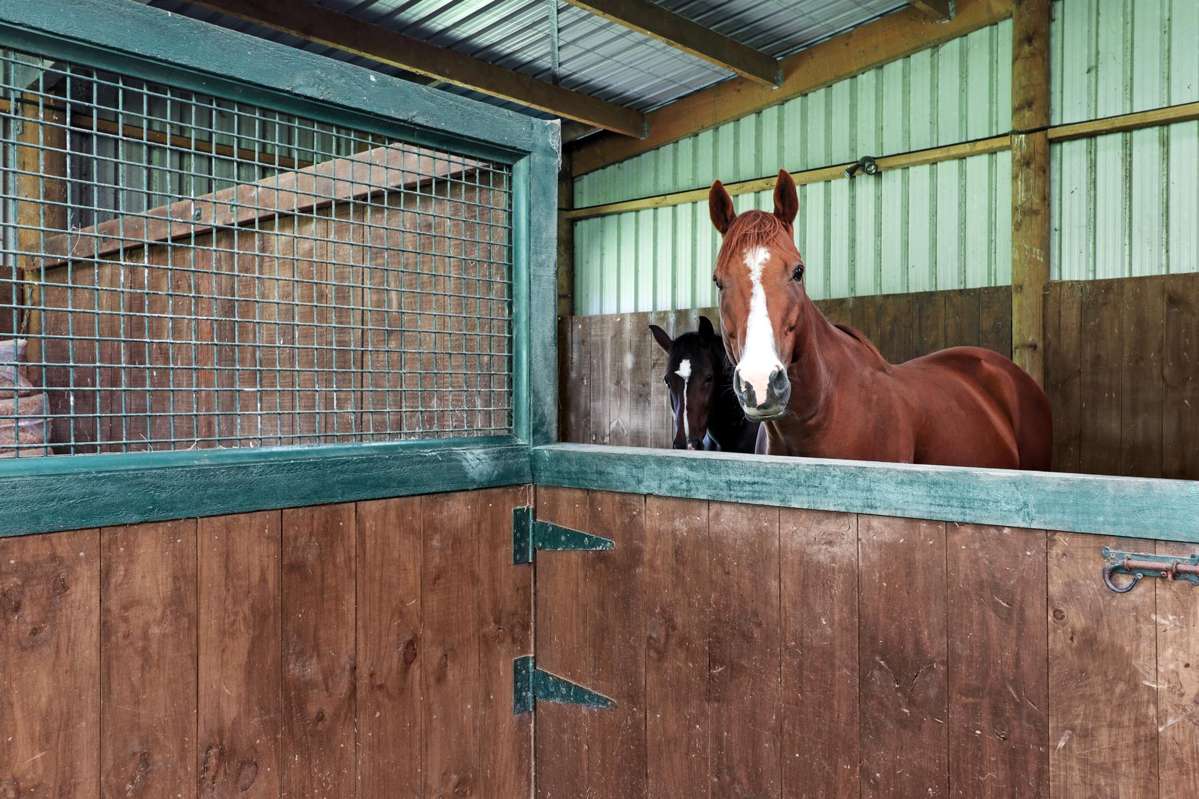 274 Hot Springs Road_3