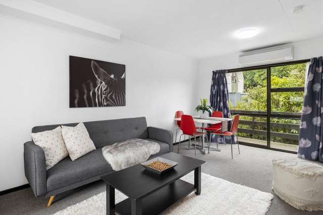 13/93 Queen Street North Dunedin_4