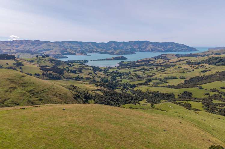 175 Barrys Bay Valley Road Barrys Bay_17