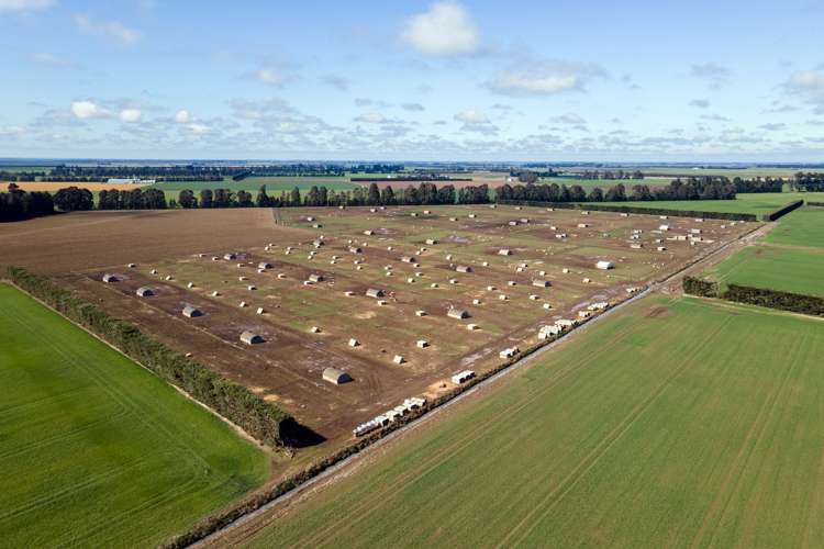 319 Methven Chertsey Road Methven_23