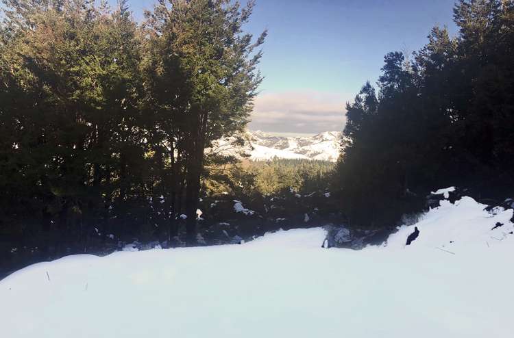 50 Terako Terrace Lyford_10