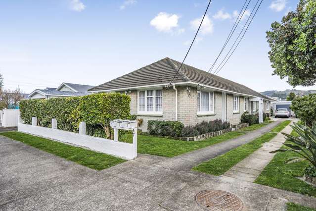 1/47 Tennyson Street Petone_1