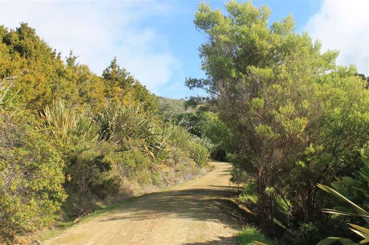 Wainui Road Whangaroa_12