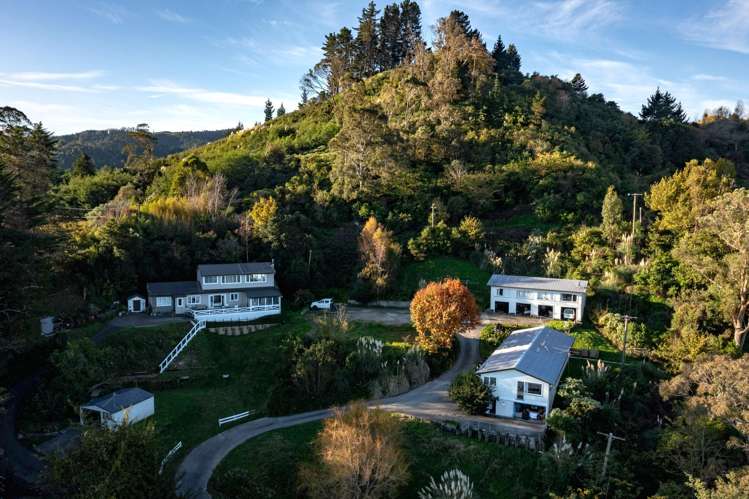 1 5/36 Sievwright Lane Whataupoko_17