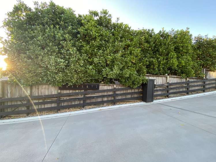 Lot 7 409 The Drive Whangamata_9