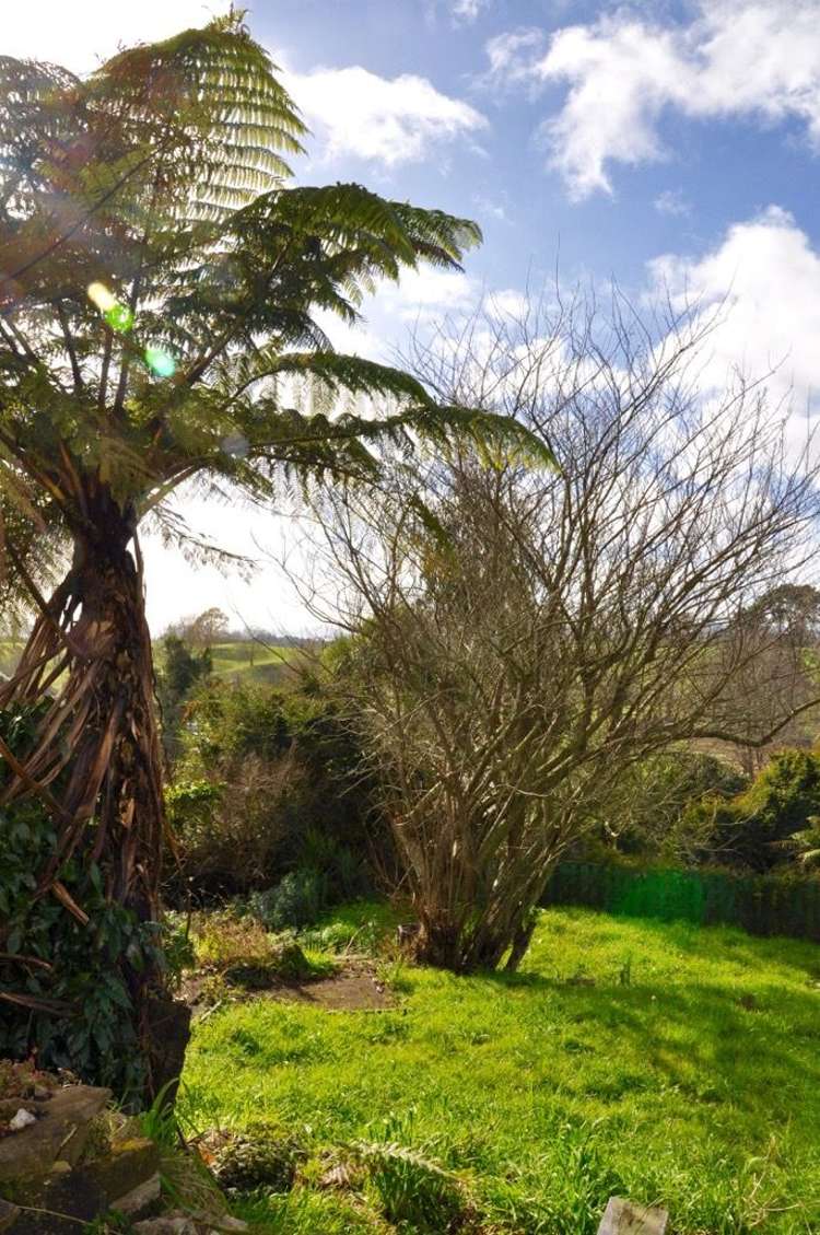 26 Bledisloe Avenue Putaruru_18