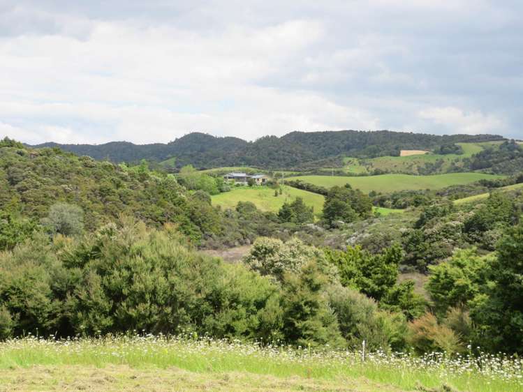 Pataua North Road Pataua_21