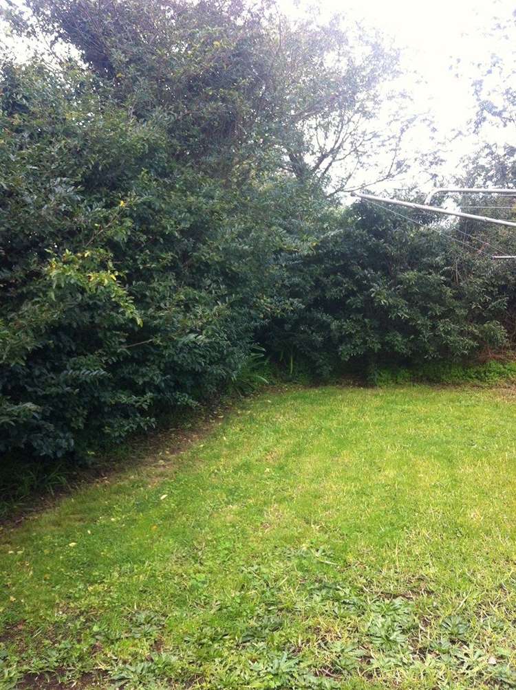 55 Mccullough Avenue Mount Roskill_8