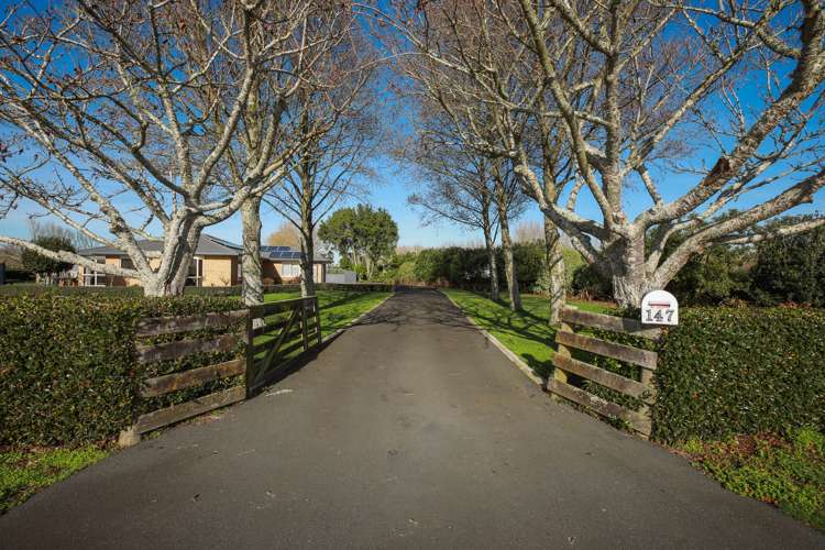 147 Boyd Road Horsham Downs_1