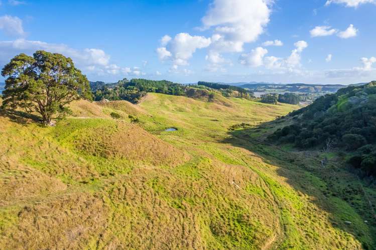 Kawhia Road (SH 31) Kawhia_10