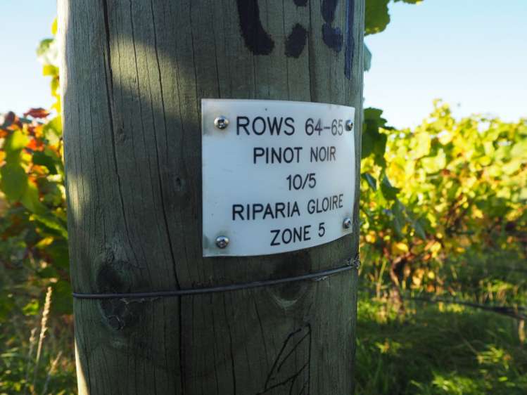 149 Wrekin Road Fairhall_19