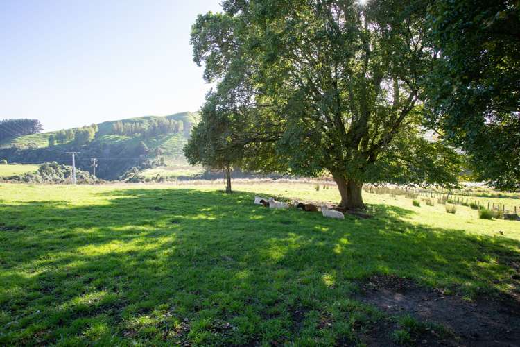 334 Ormondville Te Uri Road Ormondville_6