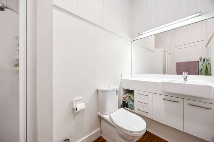 22 Castle Street Grey Lynn_9