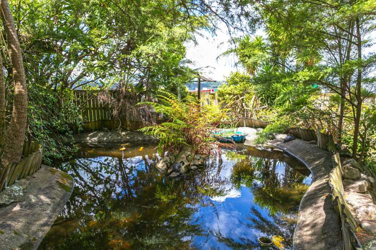 67 Joan Gaskell Drive Whitianga_6