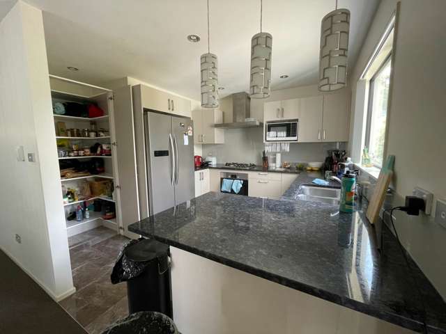 488 Richardson Road Mt Roskill_4