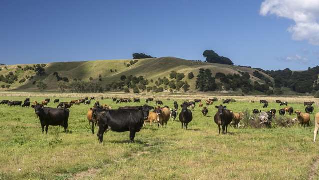3068 Western Lake Road Featherston_2