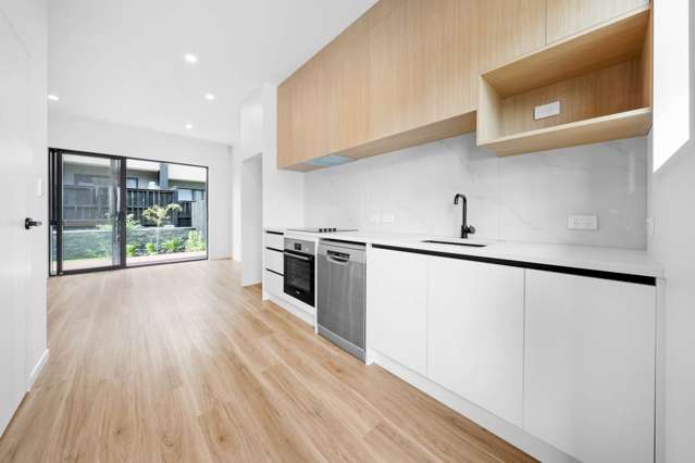 38 Rana Road Flat Bush_1