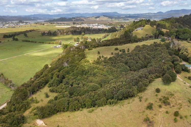 168 Moewai Road Whitianga_29