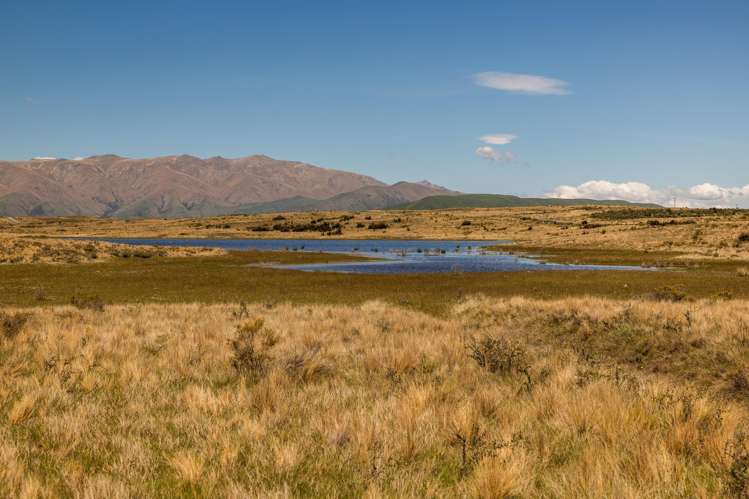 Lagoon Block, Ohau Downs Station Lake Ohau_18