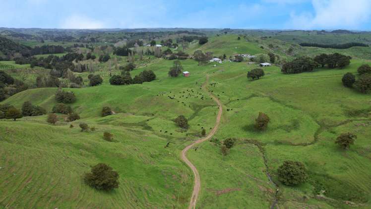 1896 Omana Road Pukehuia_13