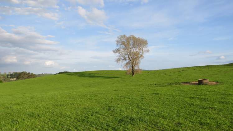 356 Whatauri Road Wharepapa South_7