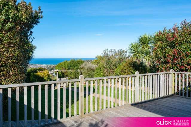 115 Mornington Road Kenmure_2