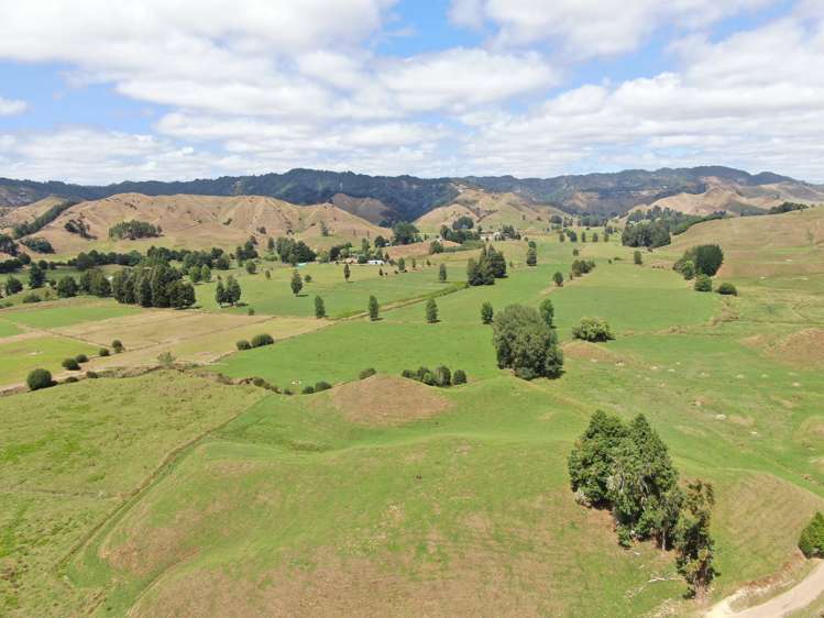 921 Ohura Road Aria_18