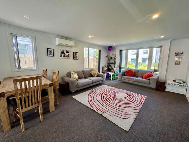 39 Hollowout Street Takanini_1