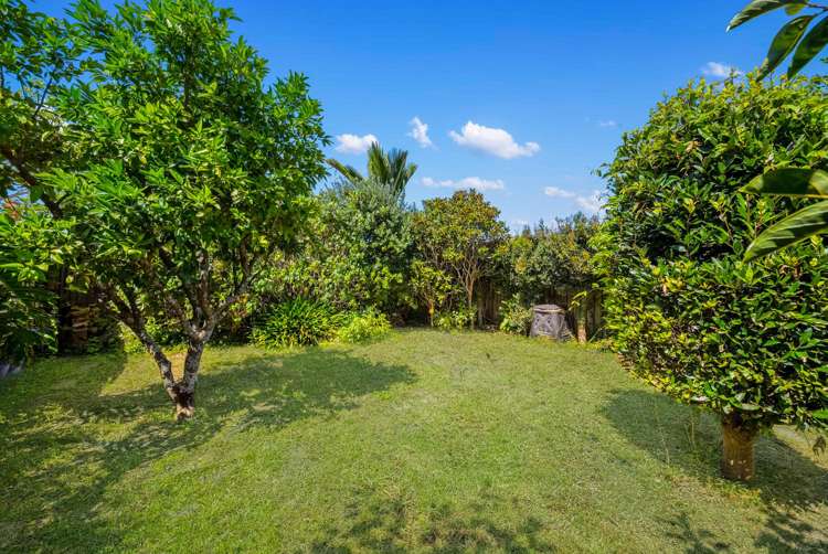 28 Albany Road Ponsonby_14