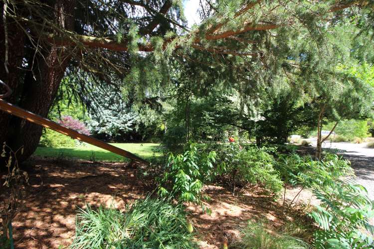 38 Letts Gully Road Alexandra_17