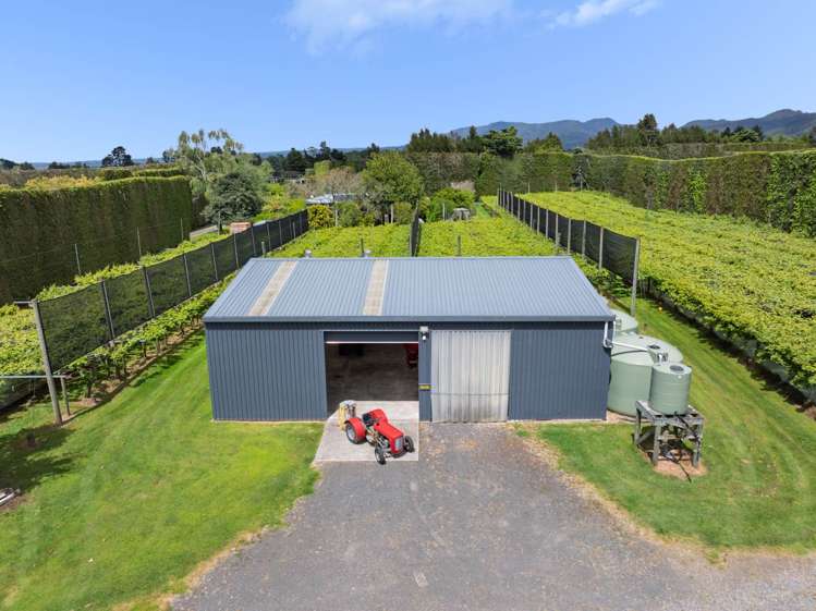 88A Rea Road Katikati_19