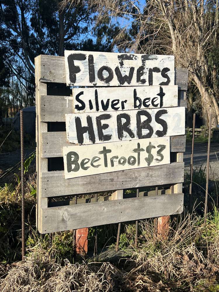 35 Heads Road Woodlands_18