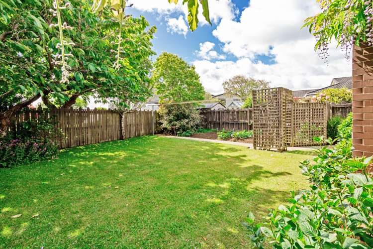 36 Terrace Street Rosedale_20