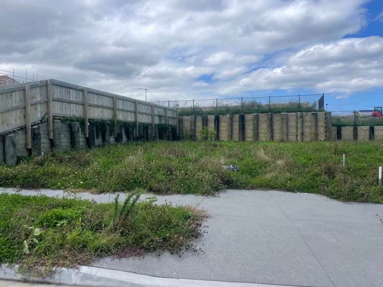 123 Limestone Drive_0