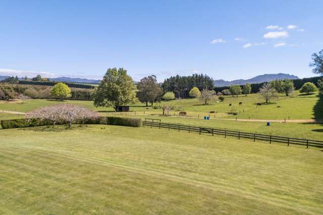 155 Ongare Point Road Katikati_2
