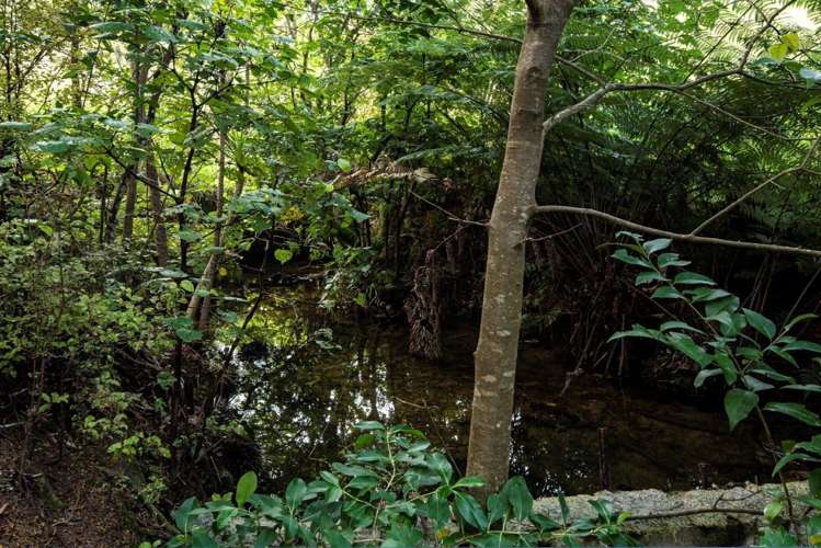 590 Ngunguru Ford Road Kiripaka_19