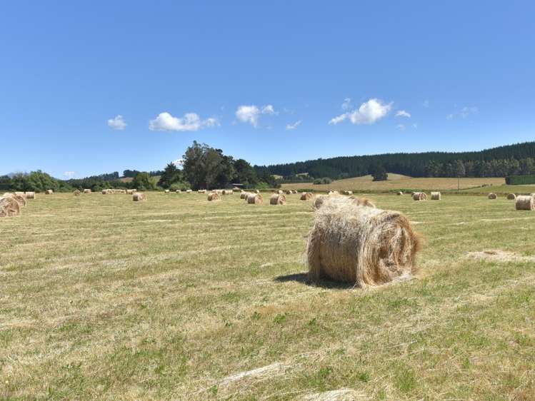 196 Catherwoods Road Cust_19