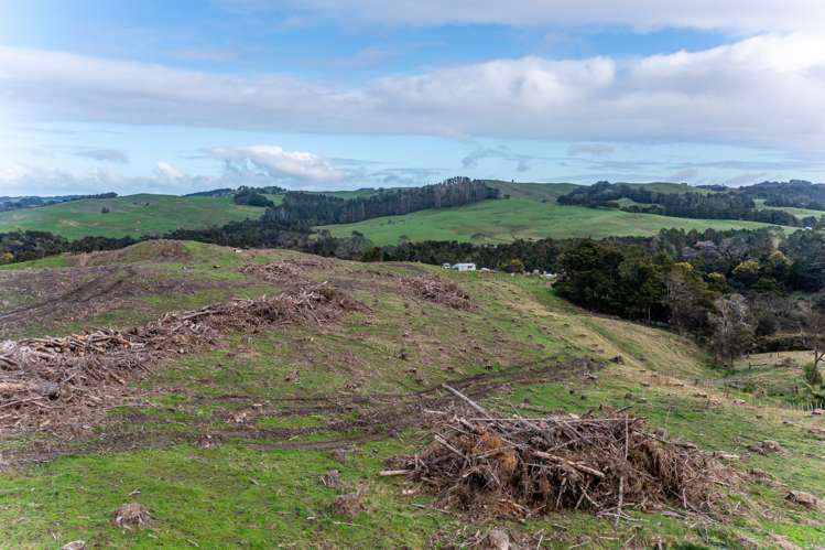 Sterling Road Paparoa_9