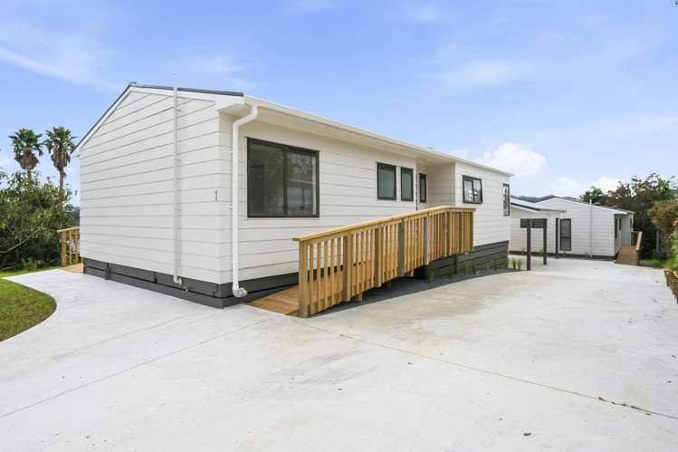 53 Pah Road_0
