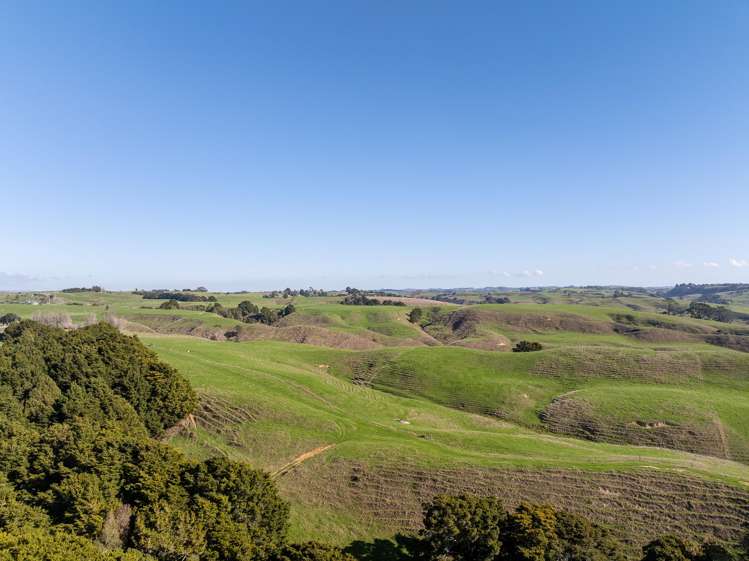 485 Chapman Road Pukekawa_28