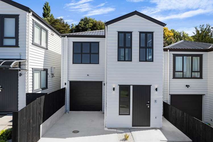 7 Puhakehake Place Flat Bush_1