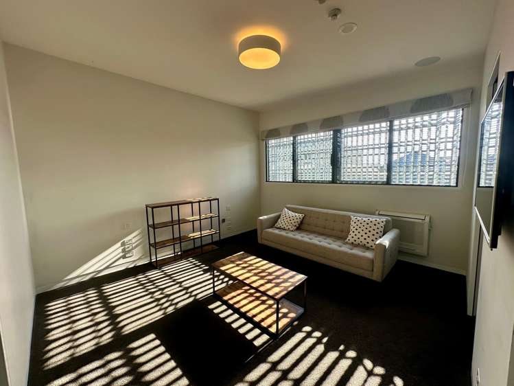 23-25 Falcon Street Parnell_7