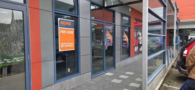4/33 Johnsonville Road Johnsonville_1