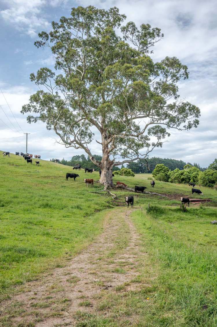 350 Pigeon Bay Road Pigeon Bay_17