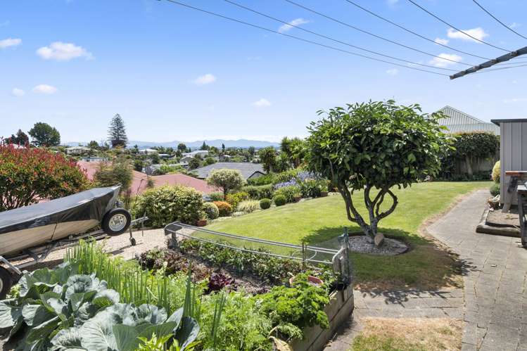 12 Shearer Terrace Richmond_2